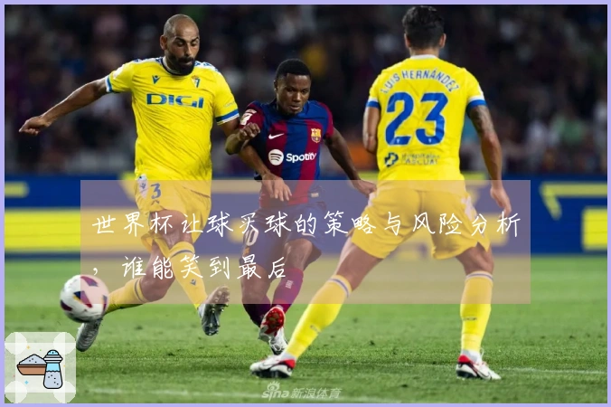 世界杯让球买球的策略与风险分析，谁能笑到最后
