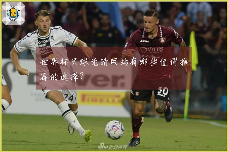 世界杯买球竞猜网站有哪些值得推荐的选择？