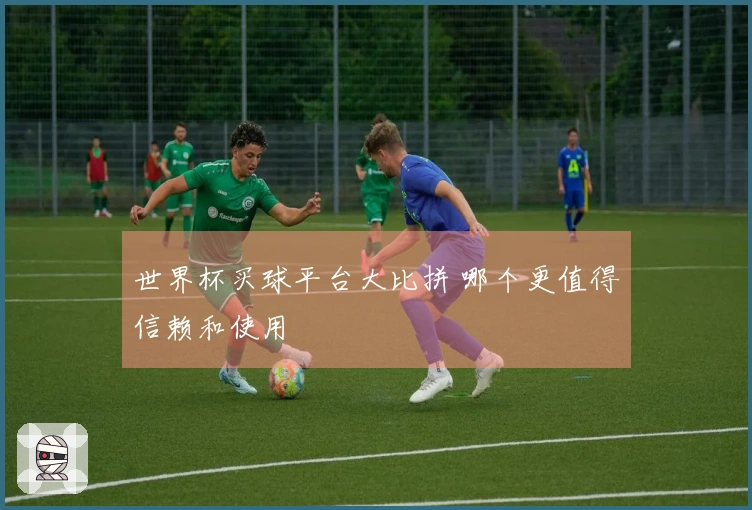 世界杯买球平台大比拼 哪个更值得信赖和使用