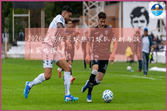2026世界杯买球热门球队分析与投注策略探讨